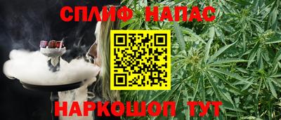 спиды Краснодар